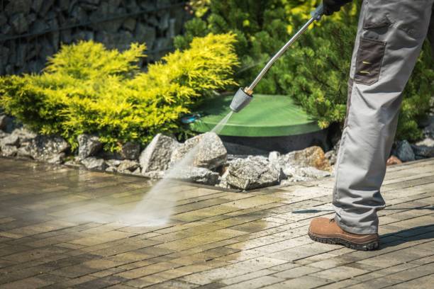 Best Soft Washing for Delicate Surfaces in Pikeville, KY
