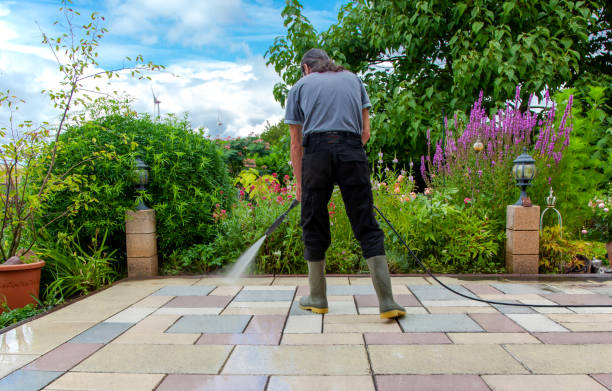 Best Driveway Cleaning and Restoration in Pikeville, KY